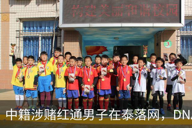 中籍涉赌红通男子在泰落网，DNA检测意外牵出新疑点