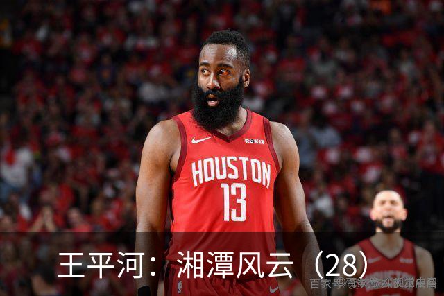 王平河：湘潭风云（2/8）
