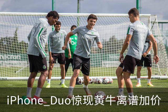 iPhone Duo惊现黄牛离谱加价